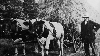 Ernte 1900 Hof Meyer Ernte 1900